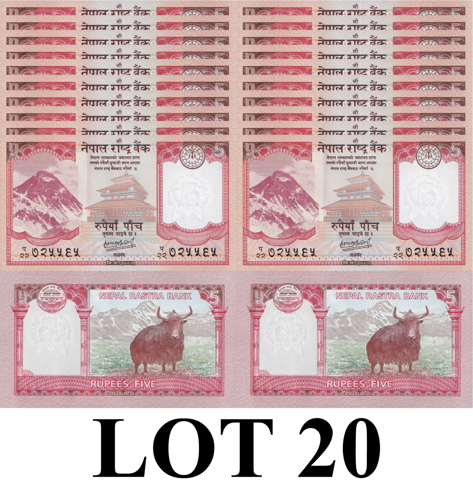 Nepal 5 Rupees 2024/2025 P 76 UNC 1/5 Bundle Lot 20 pcs