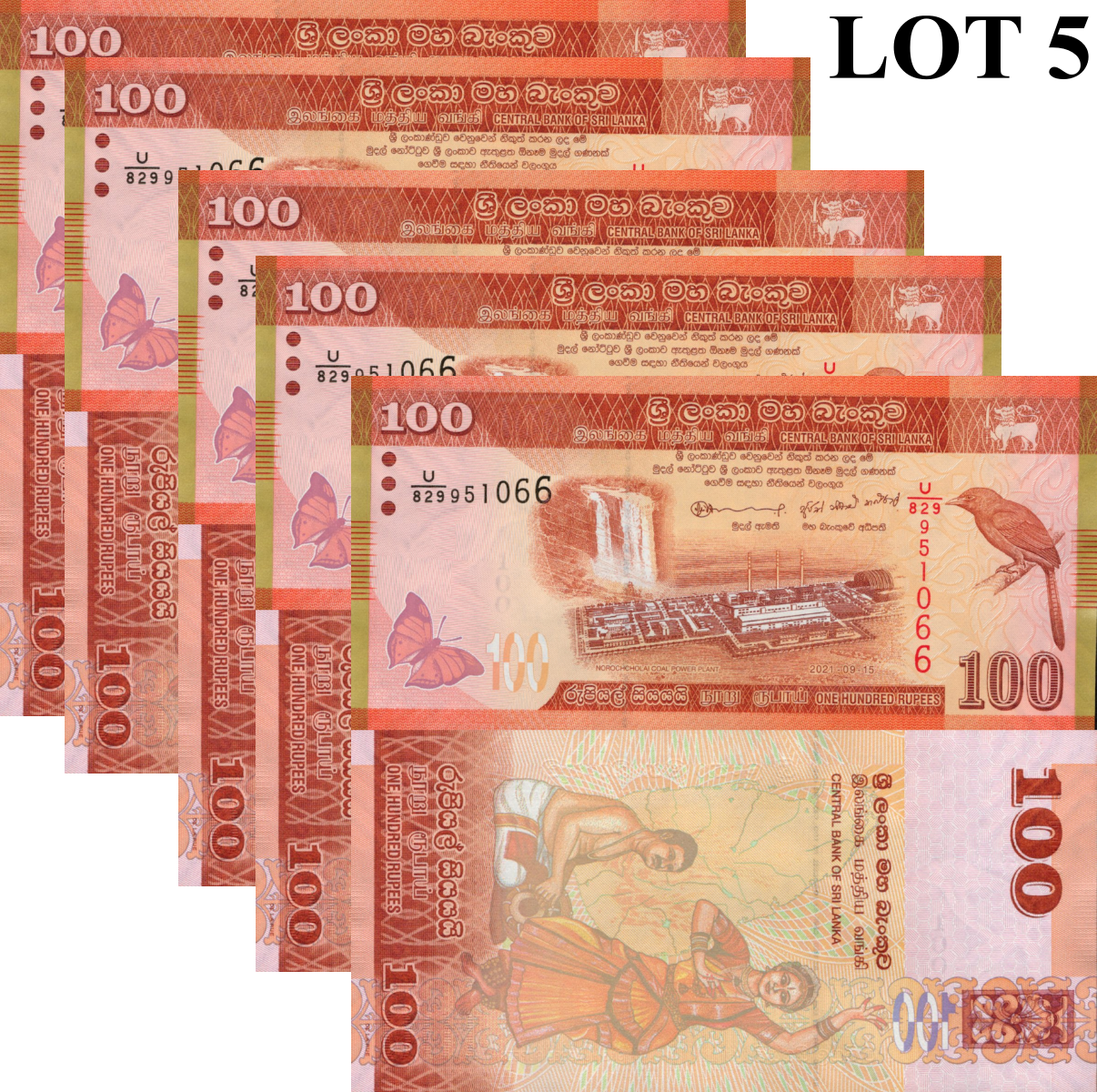 Sri Lanka 100 Rupees 2021 P 125 UNC 1/20 Bundle Lot 5 pcs