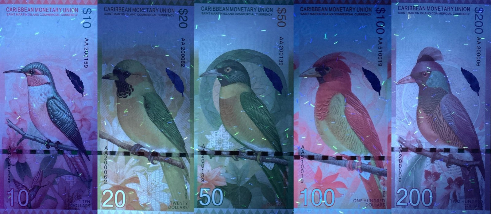 Caribbean Saint Martin Notes Bird & Flower COMM. Banknotes Full Set 5 pcs UNC