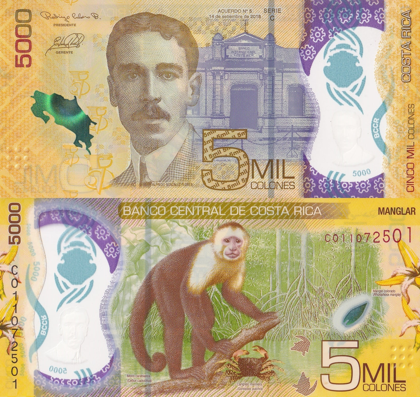 Costa Rica 5000 Colones 2018(2021) P 282  Polymer UNC