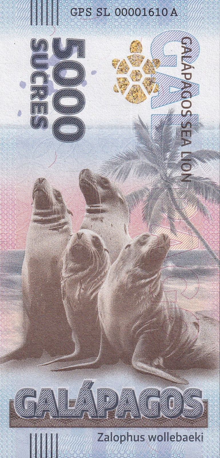 Galapagos Souvenir Note 5000 Sucres Galapagos Sea Lion Test Note