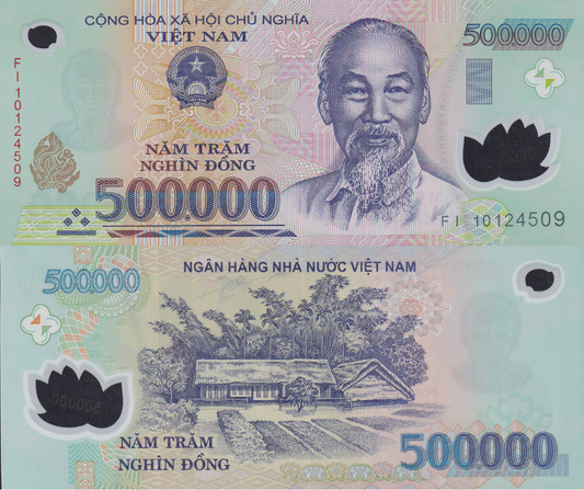 Viet Nam Vietanm 500000 Dong 2010 P 124 Polymer REAL UNC