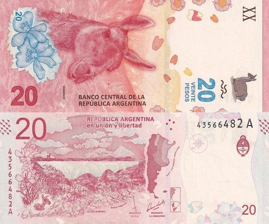 Argentina 20 Pesos ND 2017 P 361 UNC