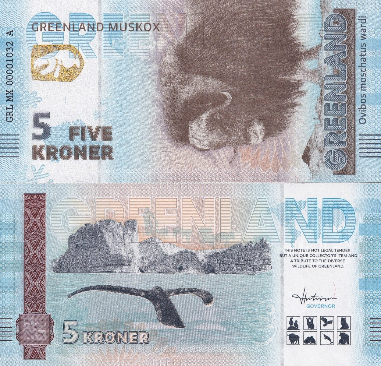 Greenland Souvenir Note 5 Krone Greenland Muskox UNC Test Note