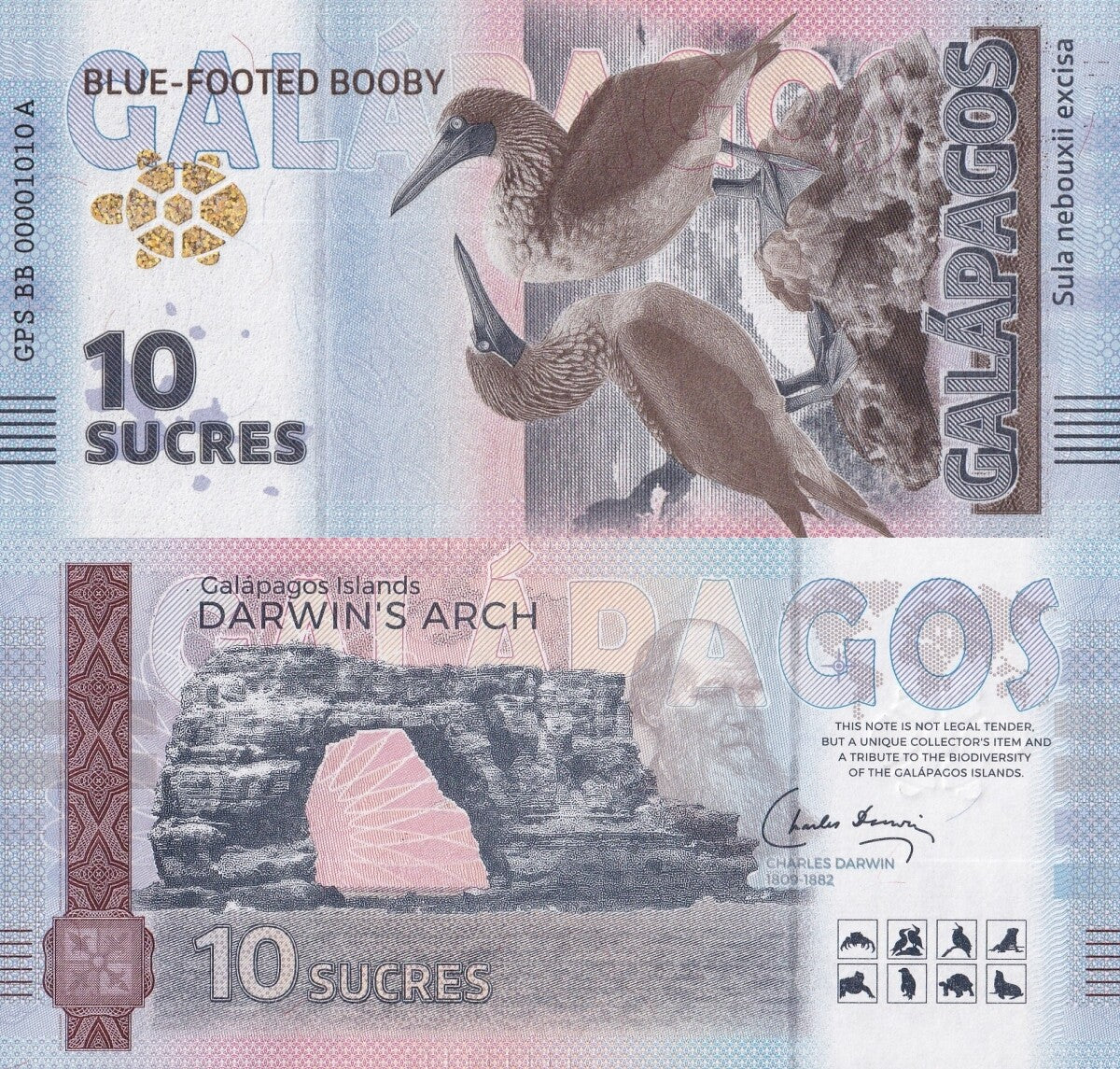Galapagos Souvenir Note 10 Sucres Blue-Footed Booby UNC Test Note