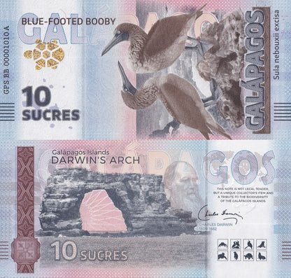 Galapagos Souvenir Note 10 Sucres Blue-Footed Booby UNC Test Note