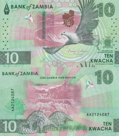 Zambia 10 Kwacha 2024 2025 P New Issue UNC AA Fist Prefix 1/2 Bundle LOT 50 pcs