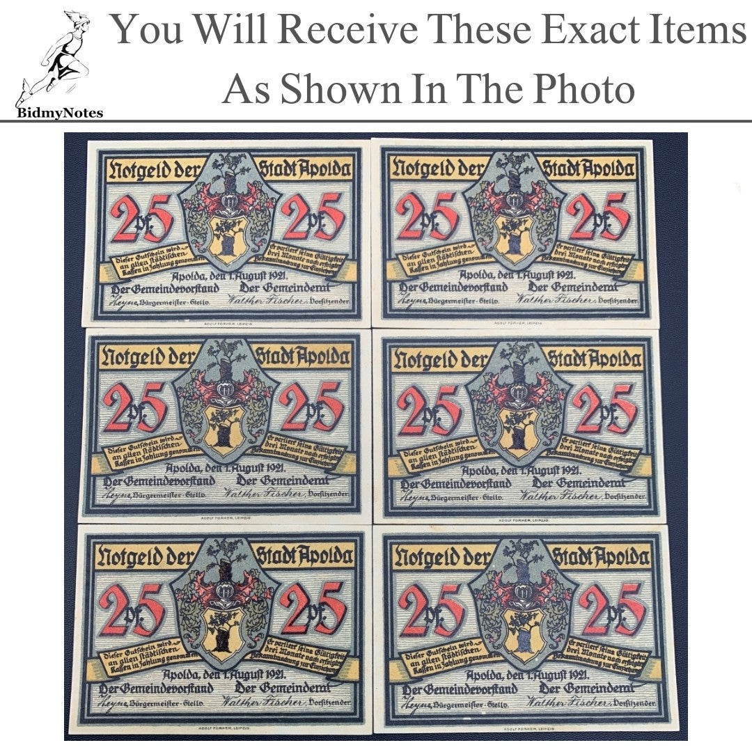 Germany Notgeld APOLDA 25 Pfennig 1921 Set 6 pcs