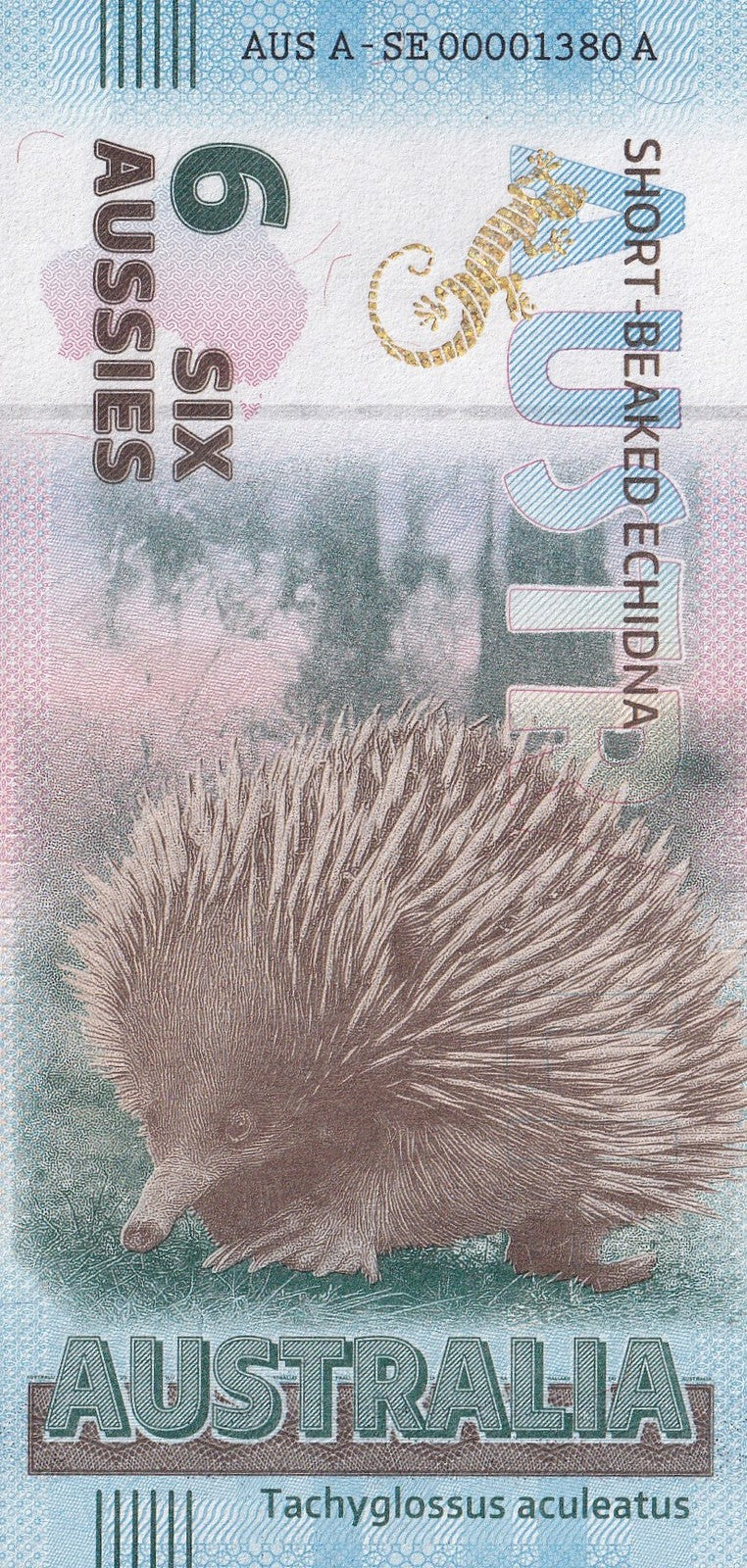 Australia Souvenir Note 6 Aussie Short-Beaked Echidna UNC