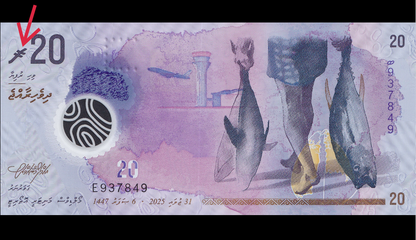 Maldives 20 Rufiyaa 2025/2026 P 34 New Symbol Polymer UNC