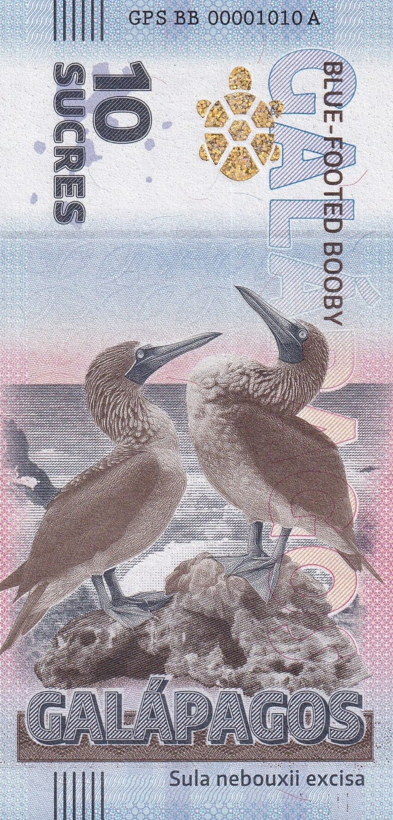 Galapagos Souvenir Note 10 Sucres Blue-Footed Booby UNC Test Note