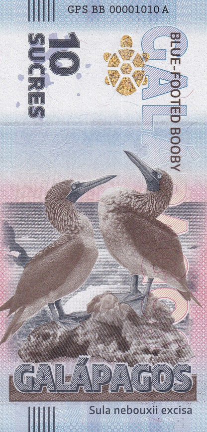 Galapagos Souvenir Note 10 Sucres Blue-Footed Booby UNC Test Note