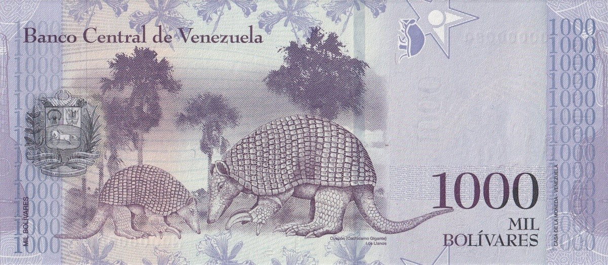 Venezuela 1000 Bolivars 2017 P 95 UNC SPECIMEN