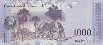 Venezuela 1000 Bolivars 2017 P 95 UNC SPECIMEN