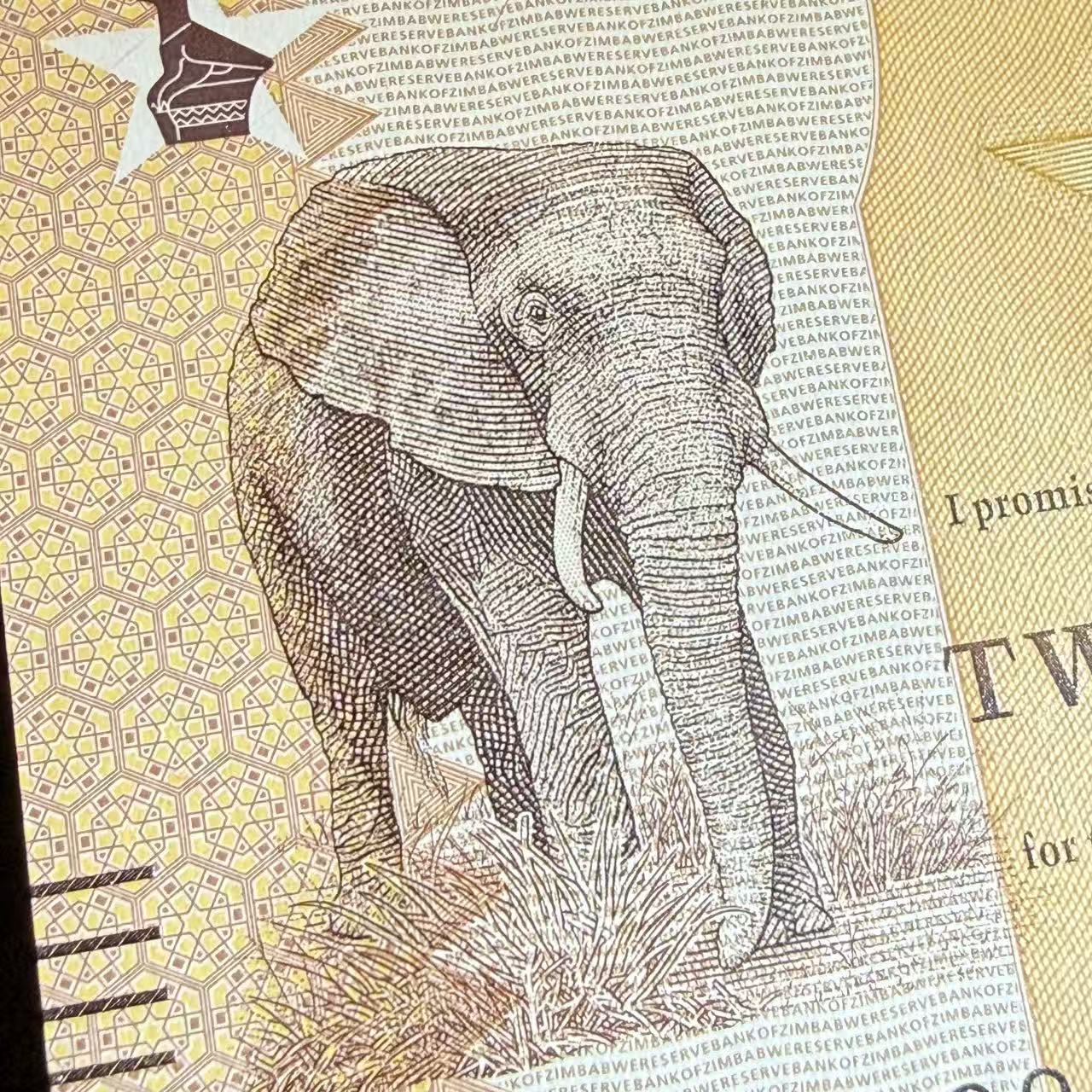 Zimbabwe 20 Zig 2026 P NEW Design UNC 1/10 Bundle Lot 10 pcs