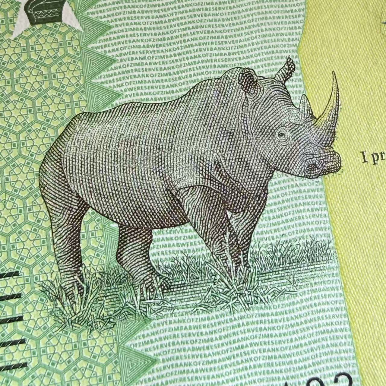 Zimbabwe 50 Zig 2026 P NEW Design UNC